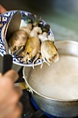 Putting squid into pan of coconut milk (Thailand)