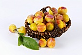Yellow plums in a basket
