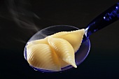 Cooked conchiglie on kitchen spoon