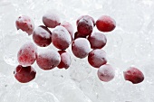 Several frozen cranberries on ice cubes