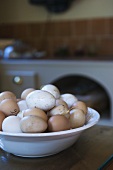 A dish of fresh eggs (Château de la Verrerie, France)