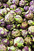 Fresh artichokes (full-frame)