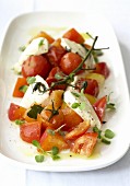 Insalata caprese (Tomaten-Mozzarella-Salat, Italien)