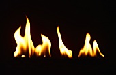 Flammen vor schwarzem Hintergrund