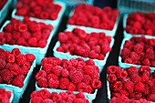 Raspberries in cardboard punnets