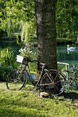 Altes Fahrrad am Baum im romantischen Garten