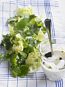 Gemischter Blattsalat mit Dressing auf Geschirrtuch