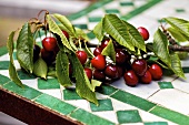 A branch of fresh cherries on garden table