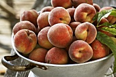 Freshly picked peaches in colander