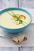 Zucchinicremesuppe mit Knoblauch