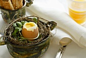 A boiled egg in a nest