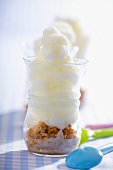 Yoghurt ice cream with amaretto crumbs
