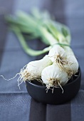 Spring onions in a dish