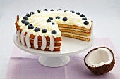 Coconut cake with blueberries