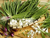 White and red spring onions