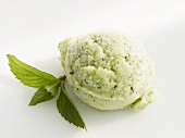 A scoop of mint and kiwi fruit sorbet