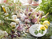 Still life with herbs, spring onions and garlic