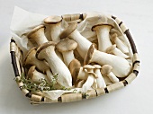 A basket of king oyster mushrooms