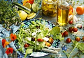 Mixed salad leaves with sheep's cheese