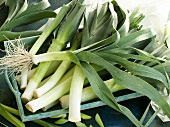 Leeks in a wooden box