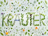 The word 'Kräuter' (Herbs in German) written in herbs