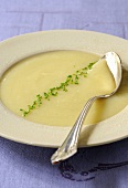 Cream of fennel and celeriac soup with chives