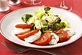 Tomato and mozzarella with salad leaves