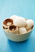 Button mushrooms in a dish on a sky-blue background