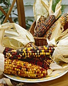 Ornamental maize