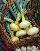 White onions, variety 'Stuttgarter Giant'