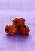 Red chillies (Habanero)