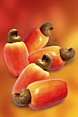 Five cashew apples with drupes