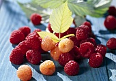 Rote und gelbe Himbeeren