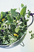 Wild herbs and flowers in a colander (for salad)