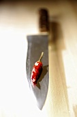 Dried chilli on knife