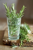 Rosemary in a glass of water