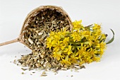 Dried and fresh golden rod
