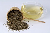 Tee aus Tulsikraut (Ocimum sanctum, auch Indisches Basilikum)