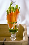 Caramelised carrots with herb sauce in a glass