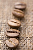 Five coffee beans (close-up)