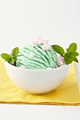 Peppermint ice cream in a small bowl