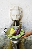 Washing vegetables under a wall fountain