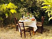 Greek appetisers on laid table out of doors