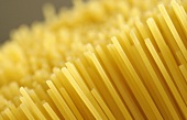 Spaghetti (close-up)