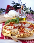 Tomato and mozzarella pizza
