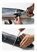 Cleaning a salmon (cutting off the fins and head)
