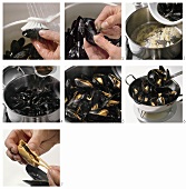 Preparing and cooking mussels