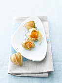 Physalis on white plate and on blue and grey napkin