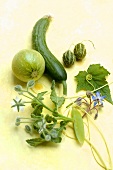 Rondini, cucumber, bitter gourds and borage