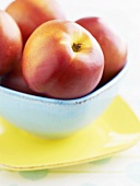 Nectarines in a bowl